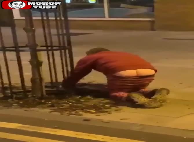 Video :It's not always easy to find mushroom pickers!